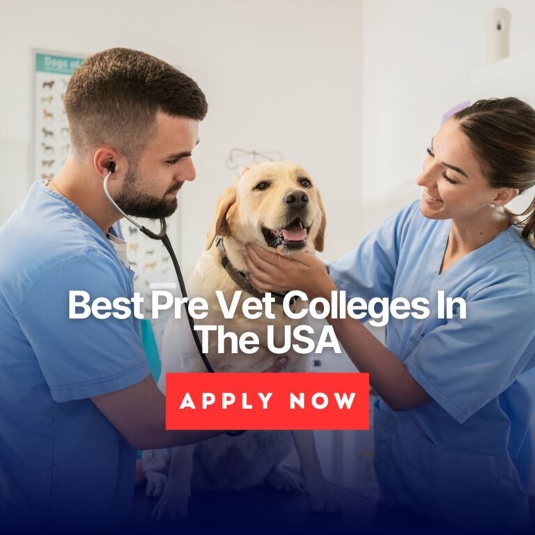 Best Pre Vet Colleges In The USA