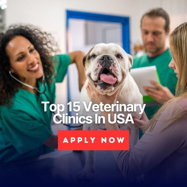 Top 15 Veterinary Clinics In USA